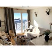 2 bedrooms appartement at Sierra Nevada 100 m away from the slopes with furnished balcony