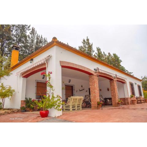 3 bedrooms villa with private pool enclosed garden and wifi at La Vereda