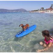 Alghero Lido Monolocale