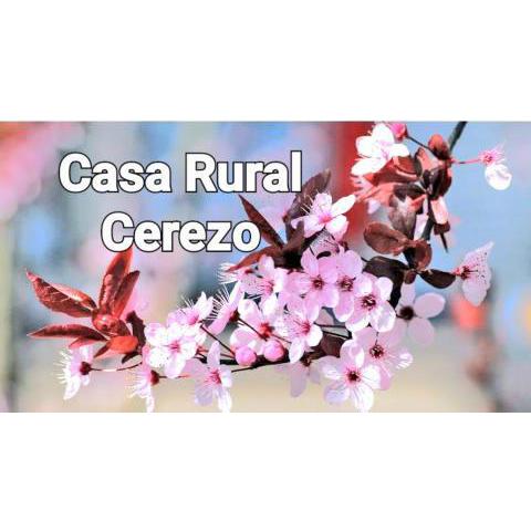 ALOJAMIENTO RURAL CEREZO