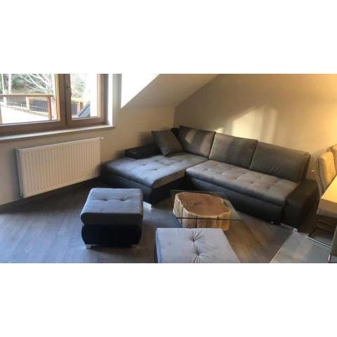 Apartament 735