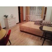 Apartament Apis