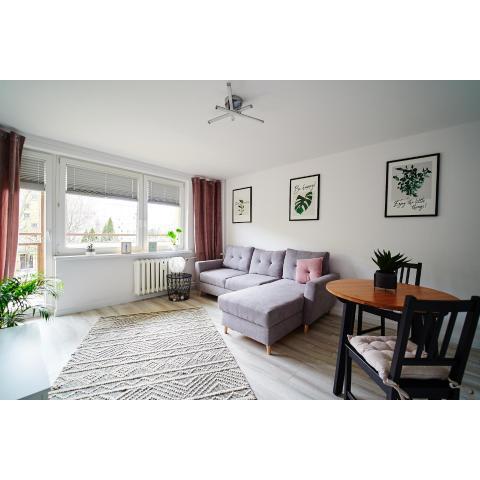 Apartament Centrum