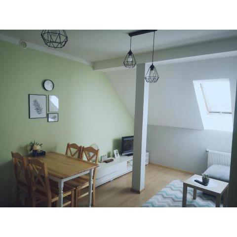 Apartament Kaktus