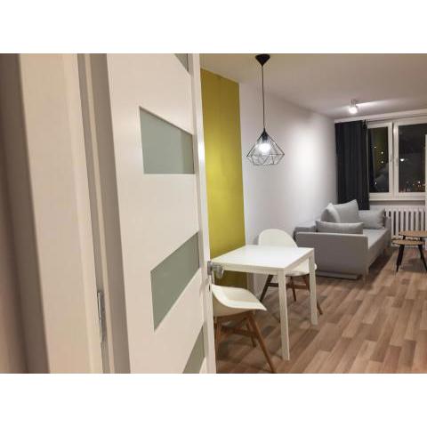 Apartament Katowice Centrum