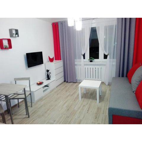 Apartament Marzenie 3 - Opole