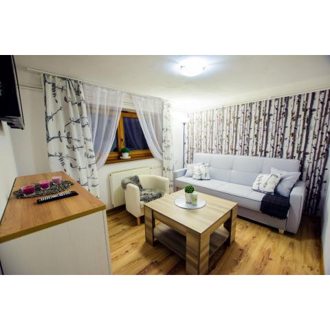 APARTAMENT TAJEMNICZY OGRÓD ŚCISŁE CENTRUM ZAKOPANE