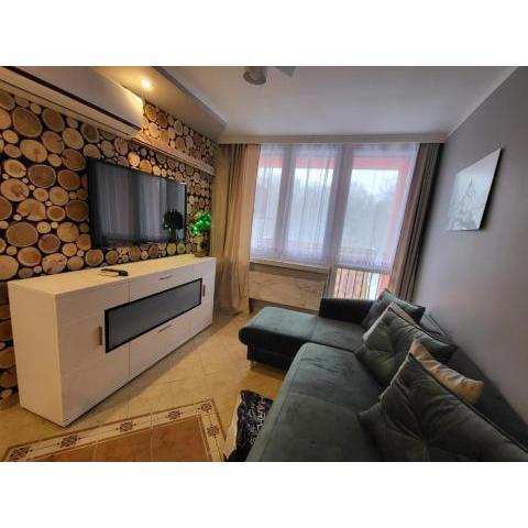 Apartament VIP Pod Lasem