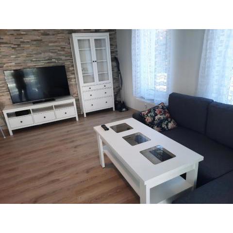 Apartament za świerkami