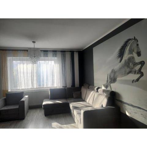 Apartament Zagórze