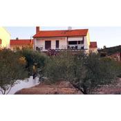 Apartment in Stari Grad/Insel Hvar 6321