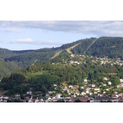 Apartment With Balcony In Gérardmer