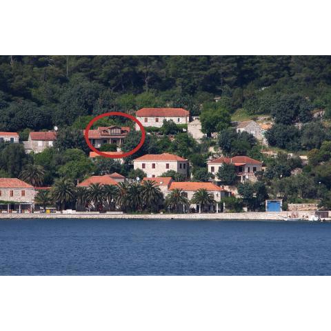 Apartments by the sea Babine Kuce, Mljet - 611