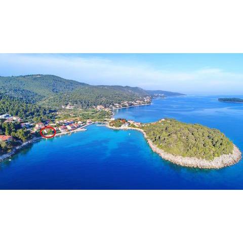 Apartments by the sea Prizba, Korcula - 4484