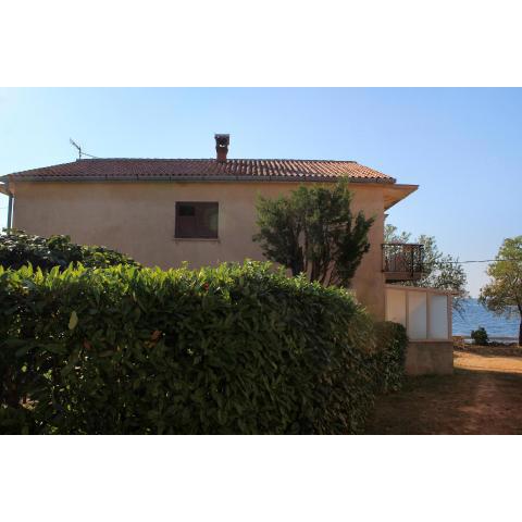 Apartments by the sea Sveti Ivan, Umag - 9692