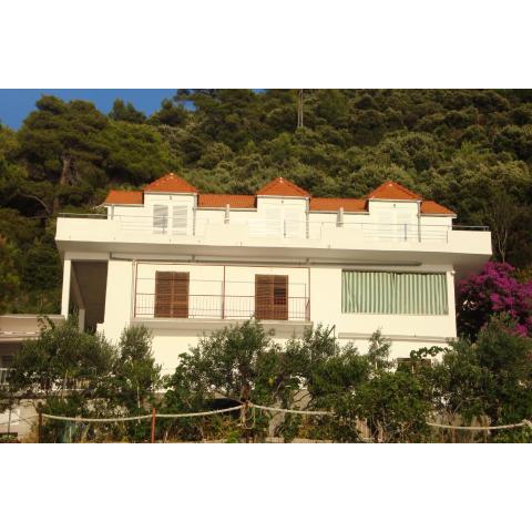 Apartments by the sea Ubli, Lastovo - 8354