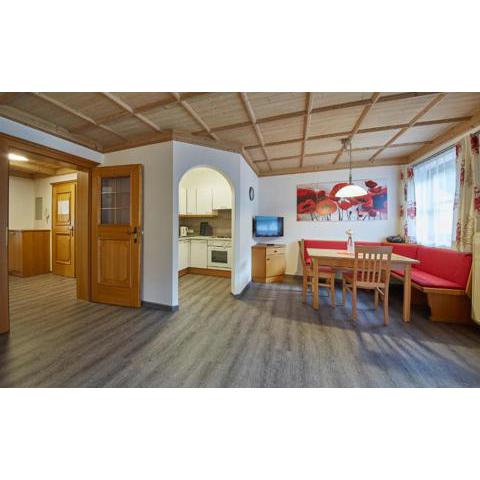 Appartements Living Saalbach by HolidayFlats24