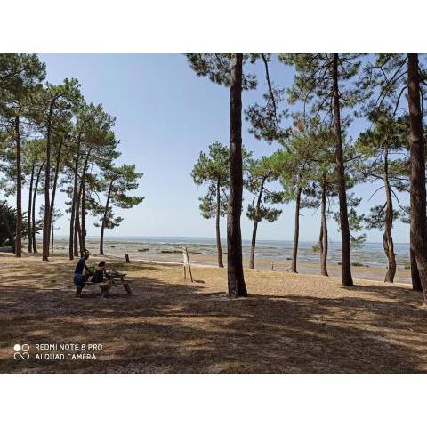 Bassin d 'Arcachon maison 8 personnes