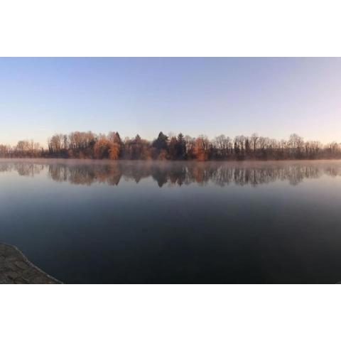 Bords de Seine et forêt proche de Fontainebleau