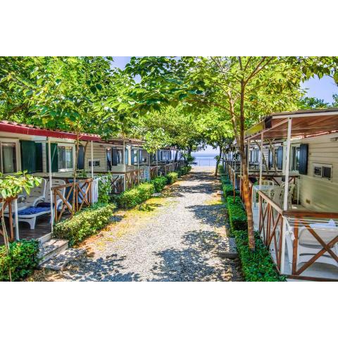 Camping La Focetta Sicula