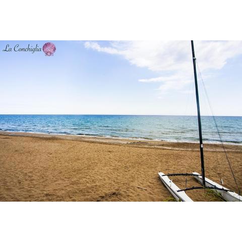 Casa la conchiglia sulla spiaggia