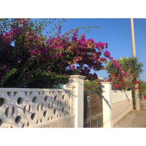 Casa vacanze “Bougainvillea”