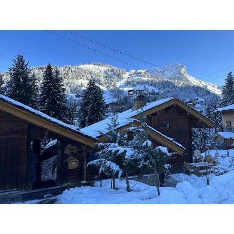 Chalet de l'Ours : 4 étoiles-spa-proche des pistes