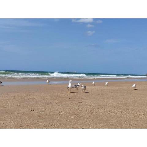 Chalet en playa la Barrosa