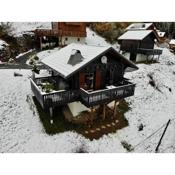 Chalet proche Morzine et lac Léman WIFI offert