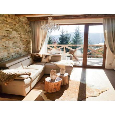 Chalet Rebeca 12 beds Donovaly