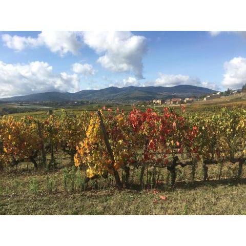 Chambre spacieuse Le clos des vignes