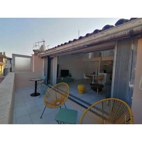 Charmant appartement terrasse sur les toits