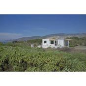 Charming cottage on the sea turtle beach