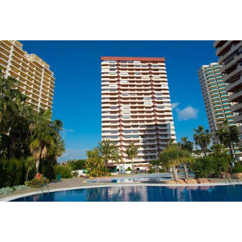 Coral Beach 210a