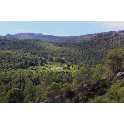 Cortijo Los Gorros