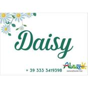 Daisy