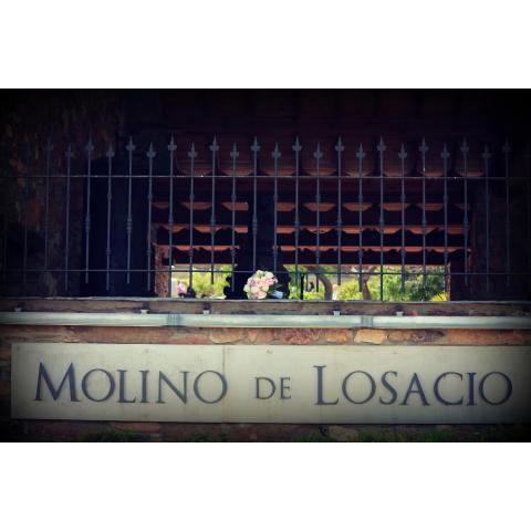 El Molino de Losacio