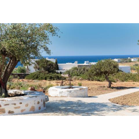 Eleonas Paros Villas, near Lolantonis beach