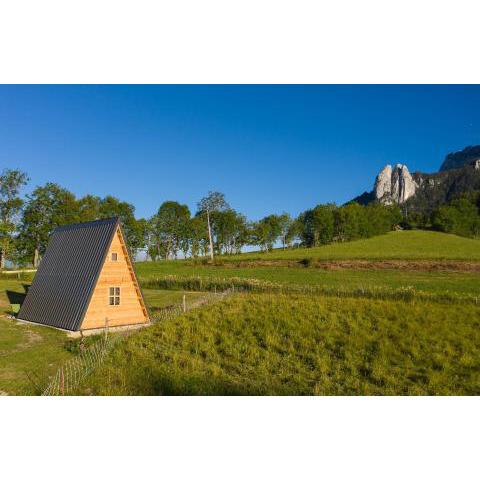 Ferme Rony Camp des Découvreurs