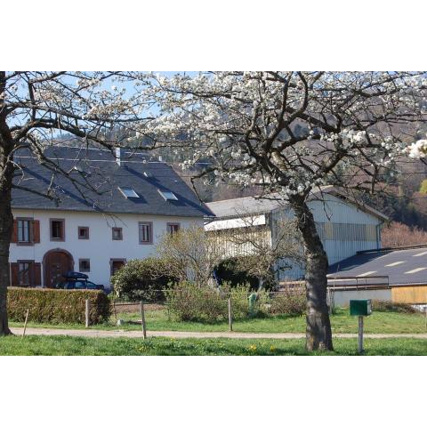 Gîte à la ferme -Alsace-9 personnes