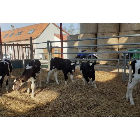 Gîte à la ferme le vivier