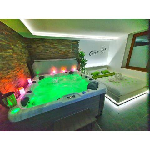 -GITE COCOON SPA-JACUZZI-JARDIN-PARKING Privé-CLIMATISATION