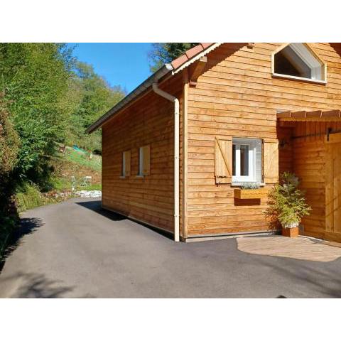 Gîte La Petite-Raon, 3 pièces, 4 personnes - FR-1-589-429