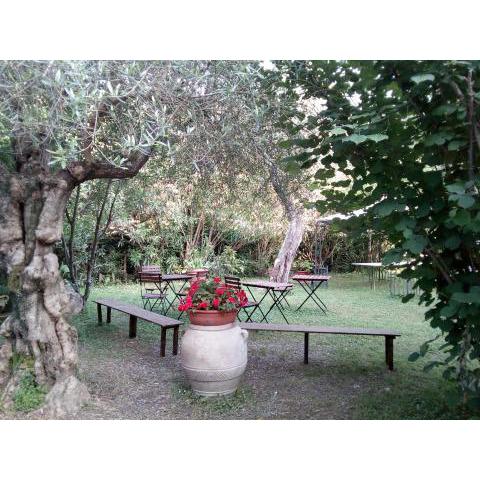 Gli Ulivi Bed & breakfast