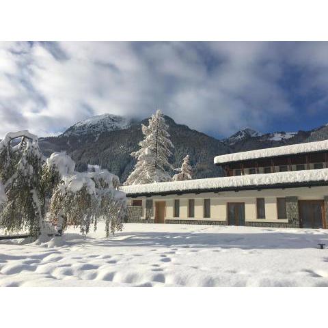 Gressoney Saint-Jean Halldis Apartments