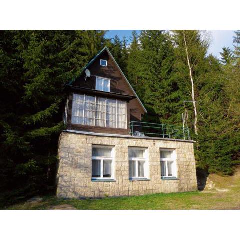 Holiday home in Harrachov 2311