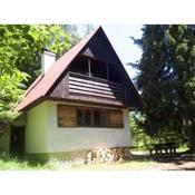 Holiday home Podbanske/Hohe Tatra 26186