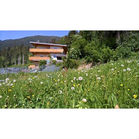 Holiday Home Zillertal - Haus Gigl