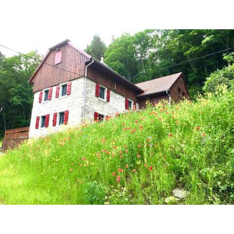 Incroyable Chalet typique dans les Vosges du Sud