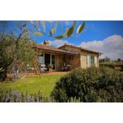 La Casina della Quercia, Your Tuscan Oak Tree House